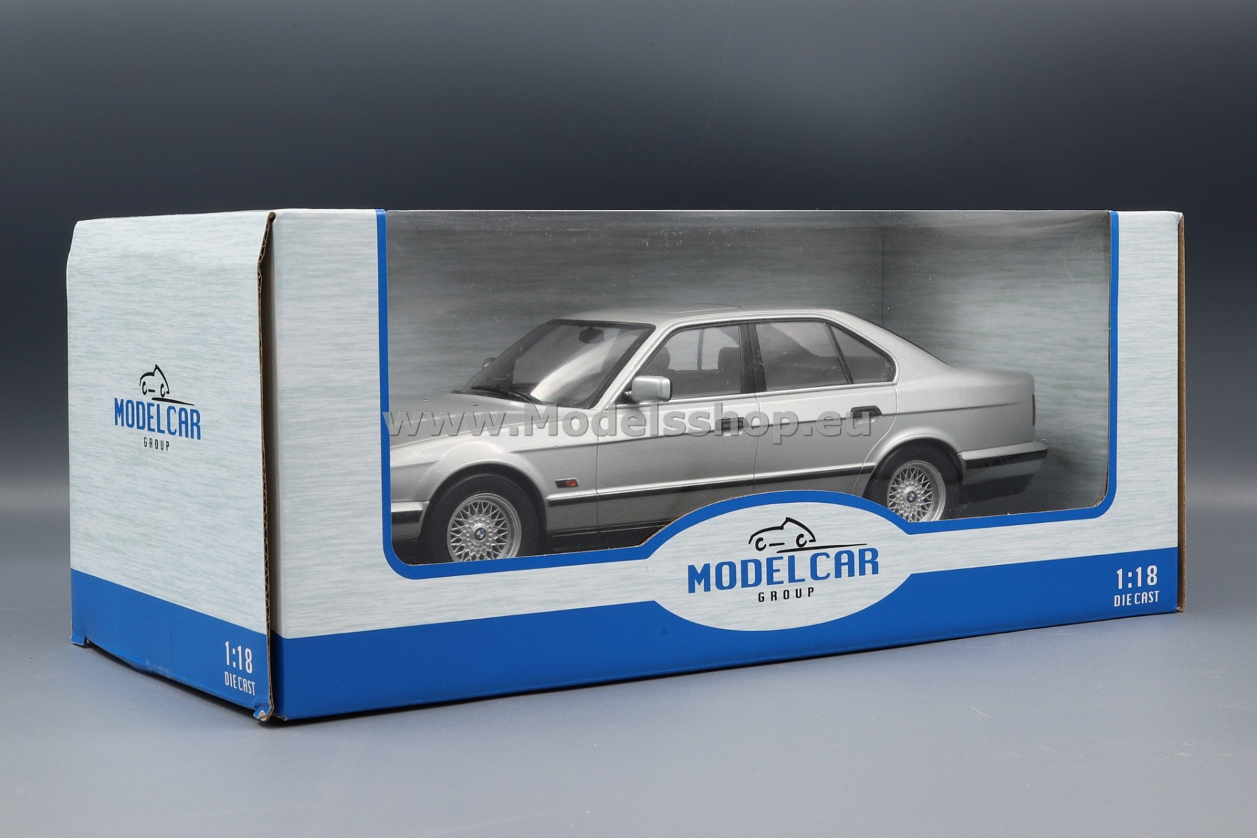 BMW 5-series (E34), 1992 /silver/