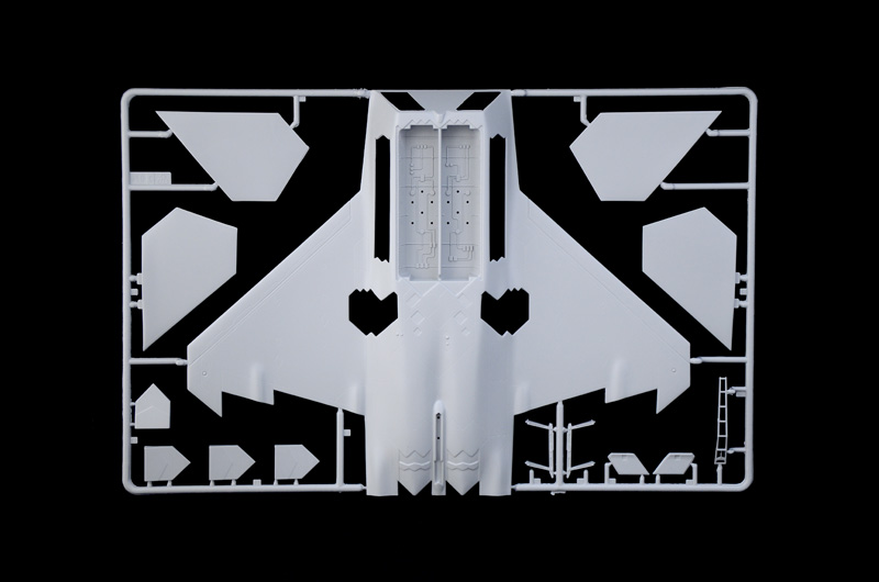 Lockheed Martin F-22 Raptor, model kit Lockheed Martin F-22 Raptor, model kit